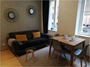 meuble à la location -   31000  TOULOUSE, surface 29 m2 location meuble - UBI473992217